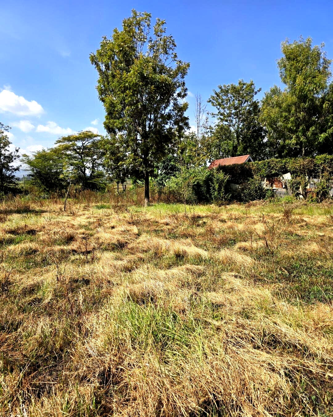 Quarter Acre Garden Plot