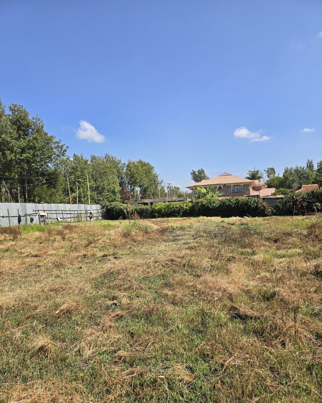 Quarter Acre Garden Plot