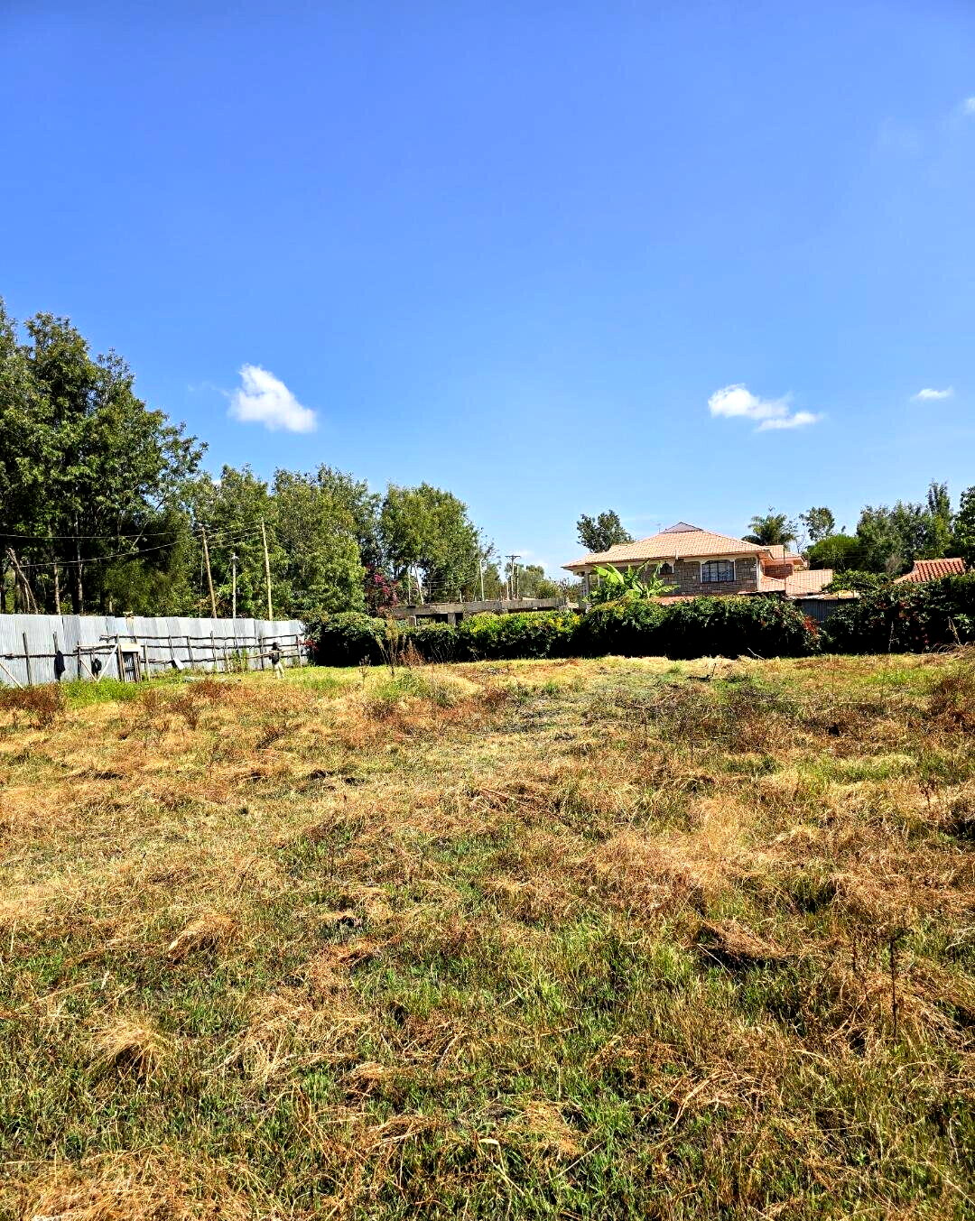 Quarter Acre Garden Plot