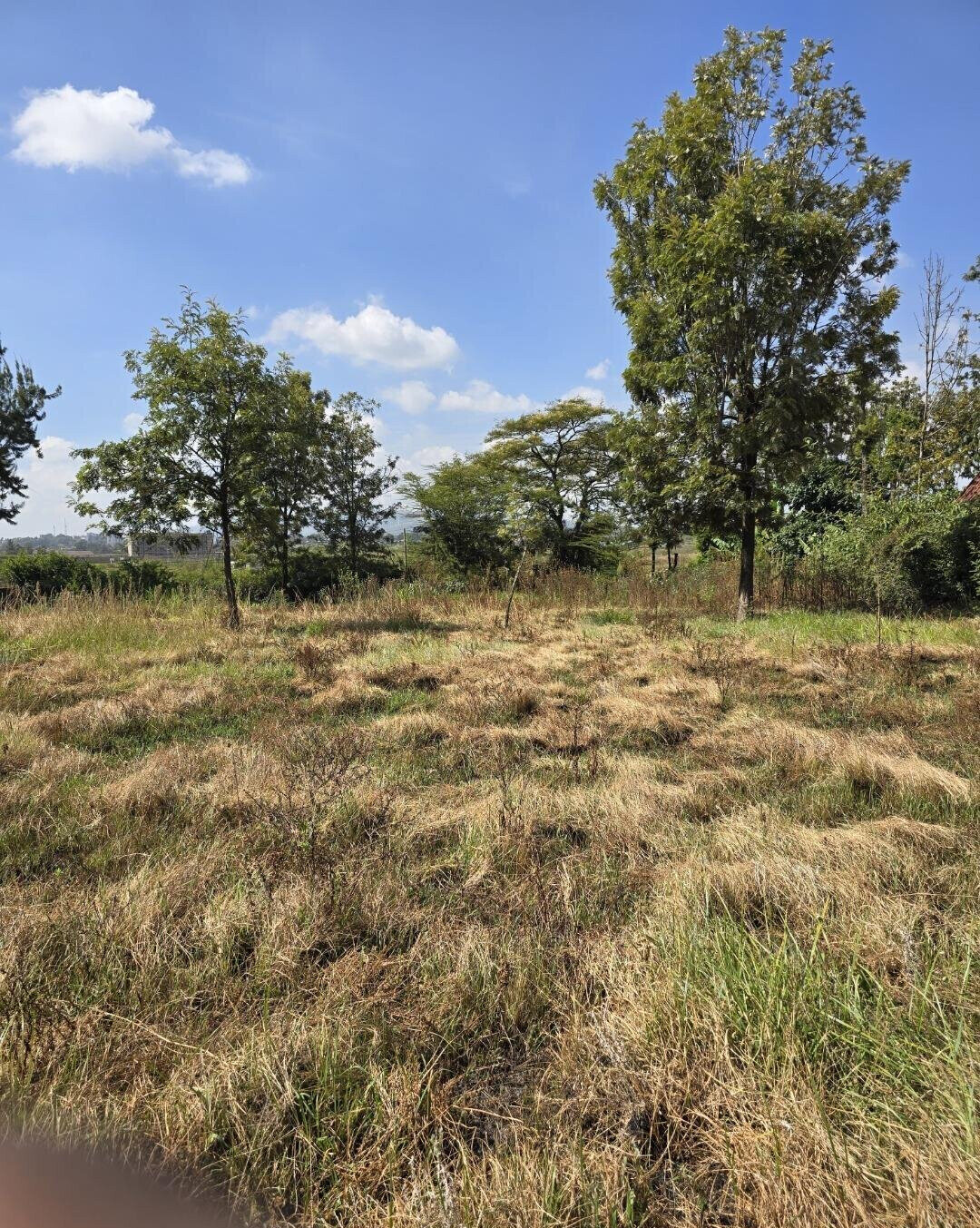 Quarter Acre Garden Plot