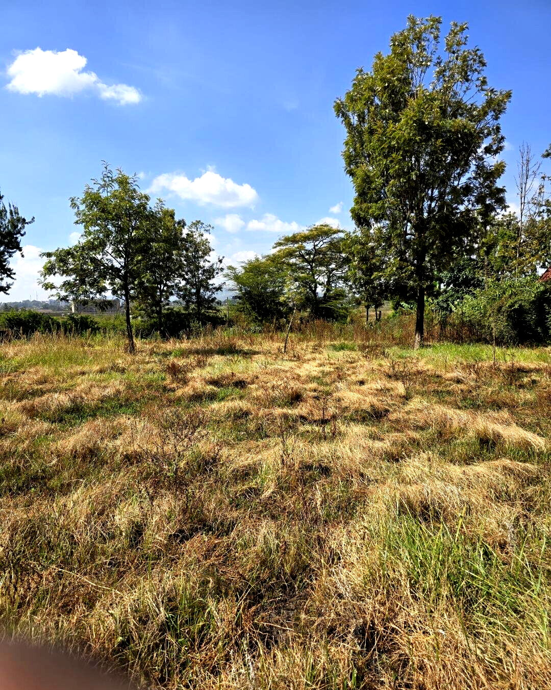 Quarter Acre Garden Plot