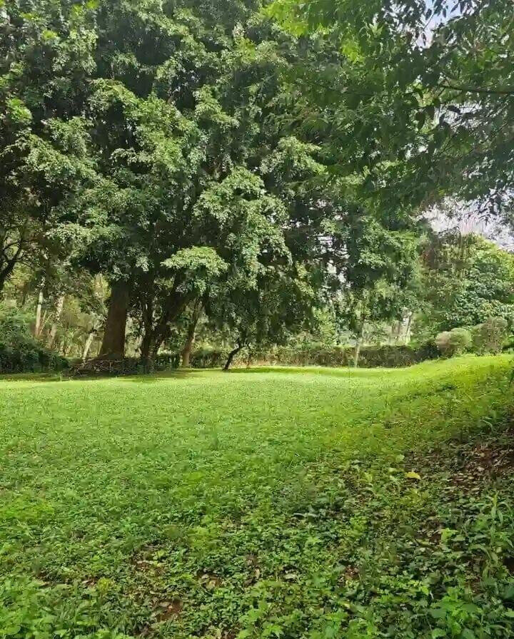 5-Acre Garden Plot with Parking