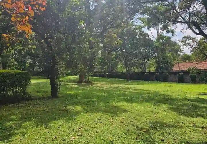 5-Acre Garden Plot with Parking