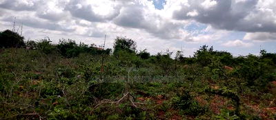 Embu , Mariari Kiambere 20 Agricultural Farmland - Image 14