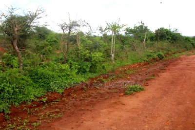 Embu , Mariari Kiambere 20 Agricultural Farmland - Image 4