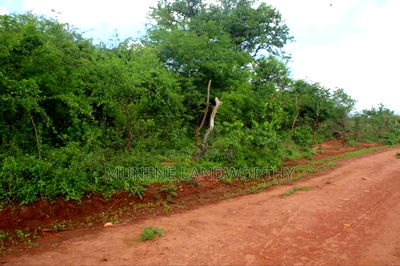Embu , Mariari Kiambere 20 Agricultural Farmland - Image 2