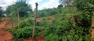 Embu , Mariari Kiambere 20 Agricultural Farmland - Image 10