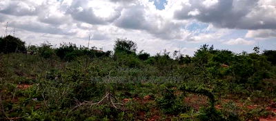 Embu , Mariari Kiambere 20 Agricultural Farmland - Image 15