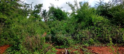 Embu , Mariari Kiambere 20 Agricultural Farmland - Image 19