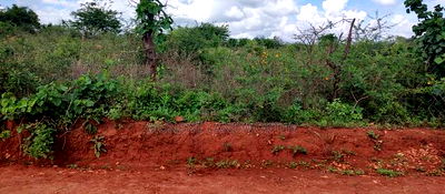 Embu , Mariari Kiambere 20 Agricultural Farmland - Image 13