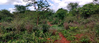 Embu , Mariari Kiambere 20 Agricultural Farmland - Image 18