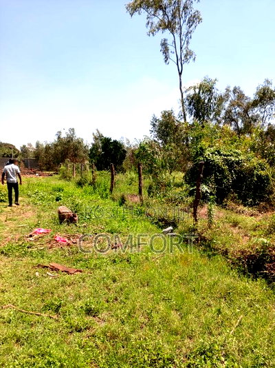 Half Acre Land for Sale in Karen. - Image 7