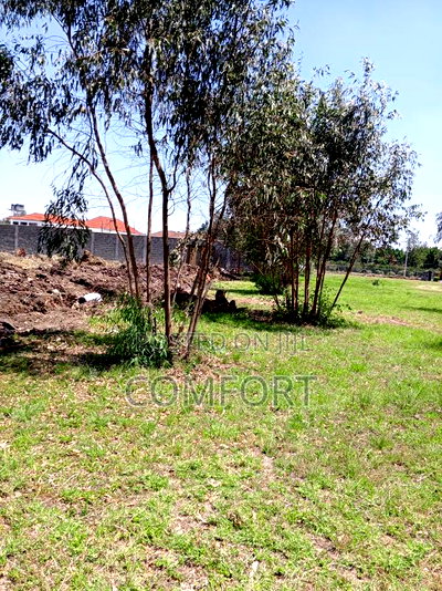 Half Acre Land for Sale in Karen. - Image 5