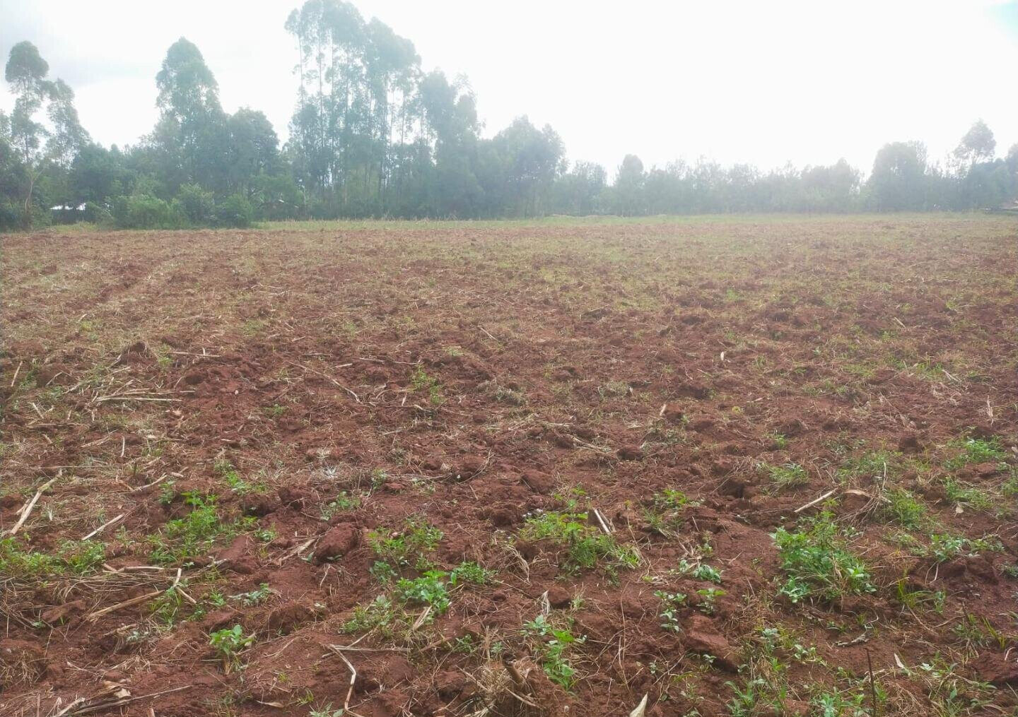 6-Acre Plot with Garden near Kitale Airport