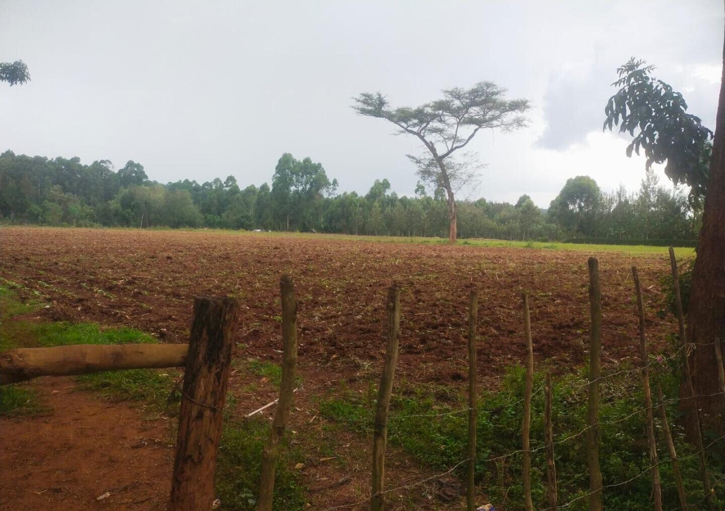 6-Acre Plot with Garden near Kitale Airport