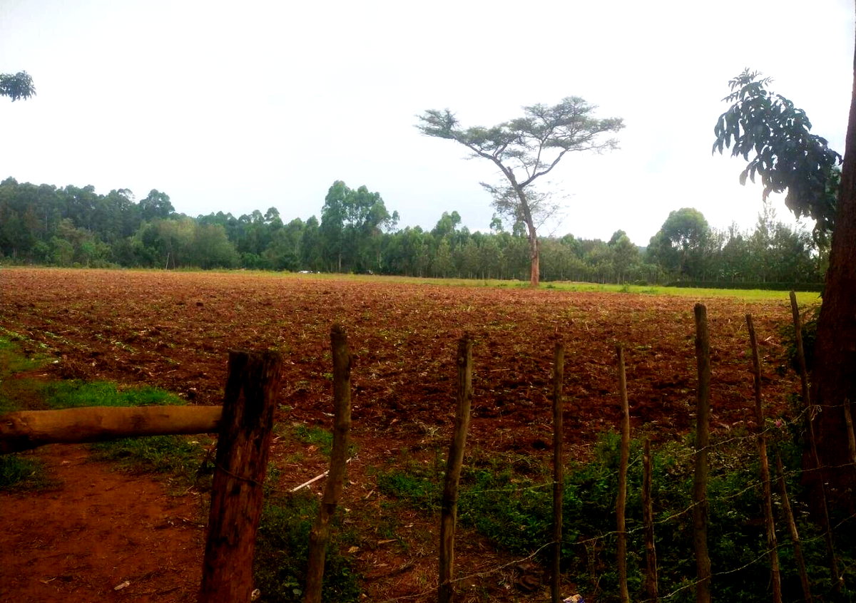 6-Acre Plot with Garden near Kitale Airport