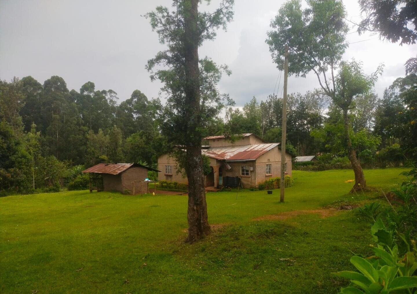 6-Acre Plot with Garden near Kitale Airport