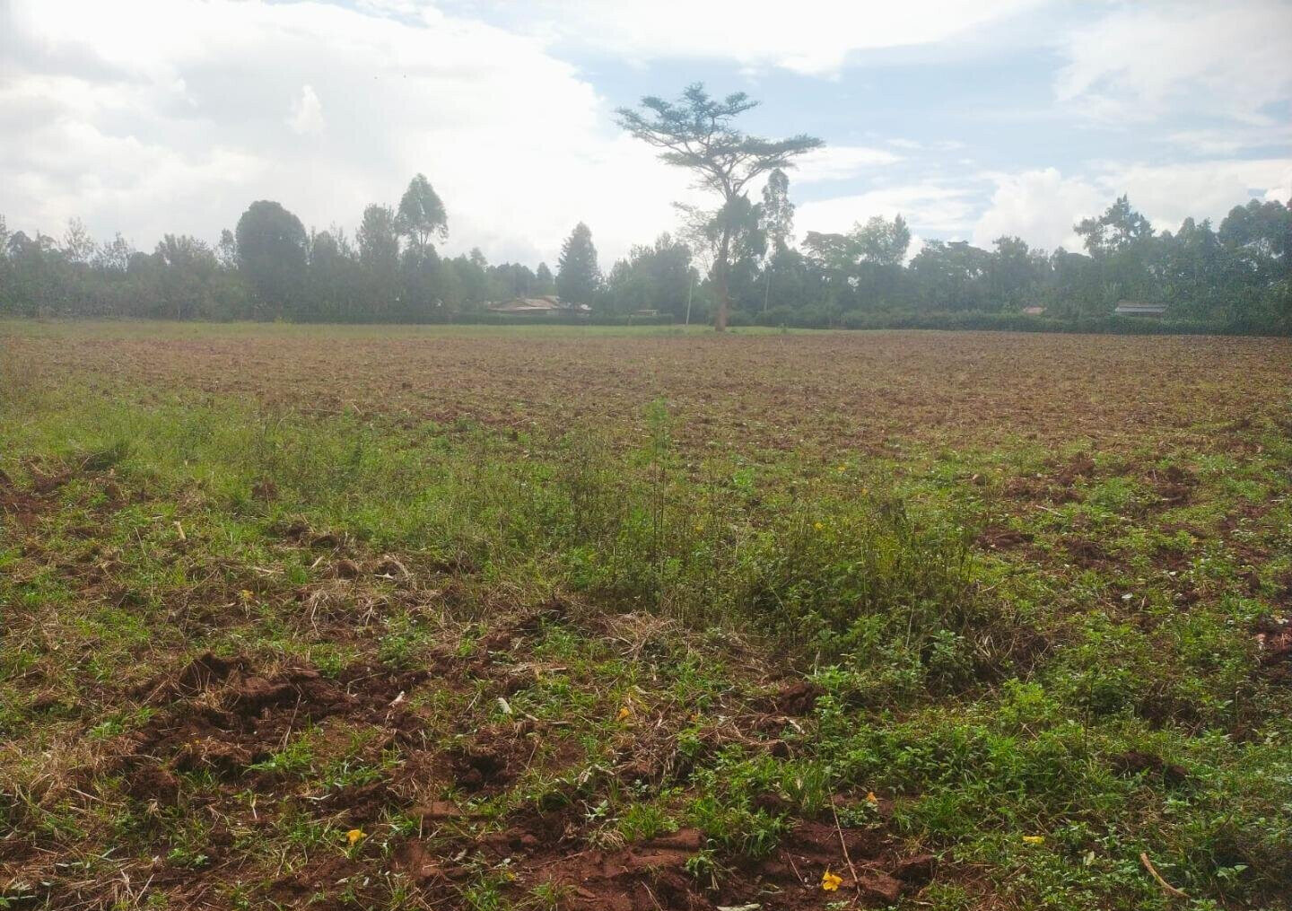 6-Acre Plot with Garden near Kitale Airport