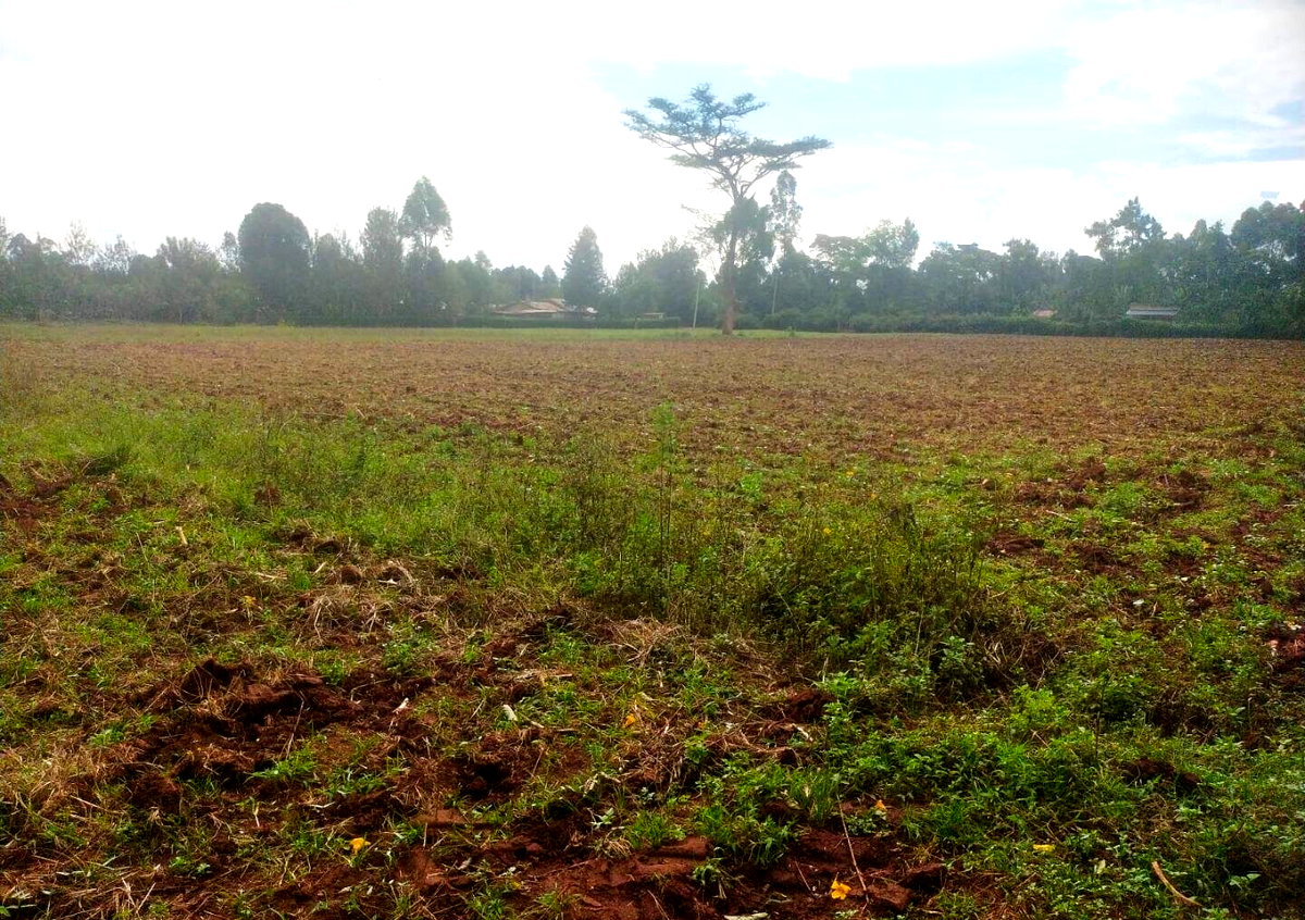 6-Acre Plot with Garden near Kitale Airport