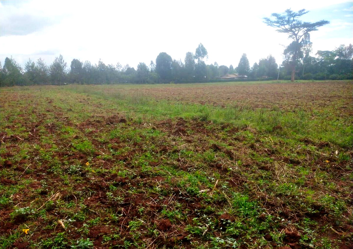 6-Acre Plot with Garden near Kitale Airport