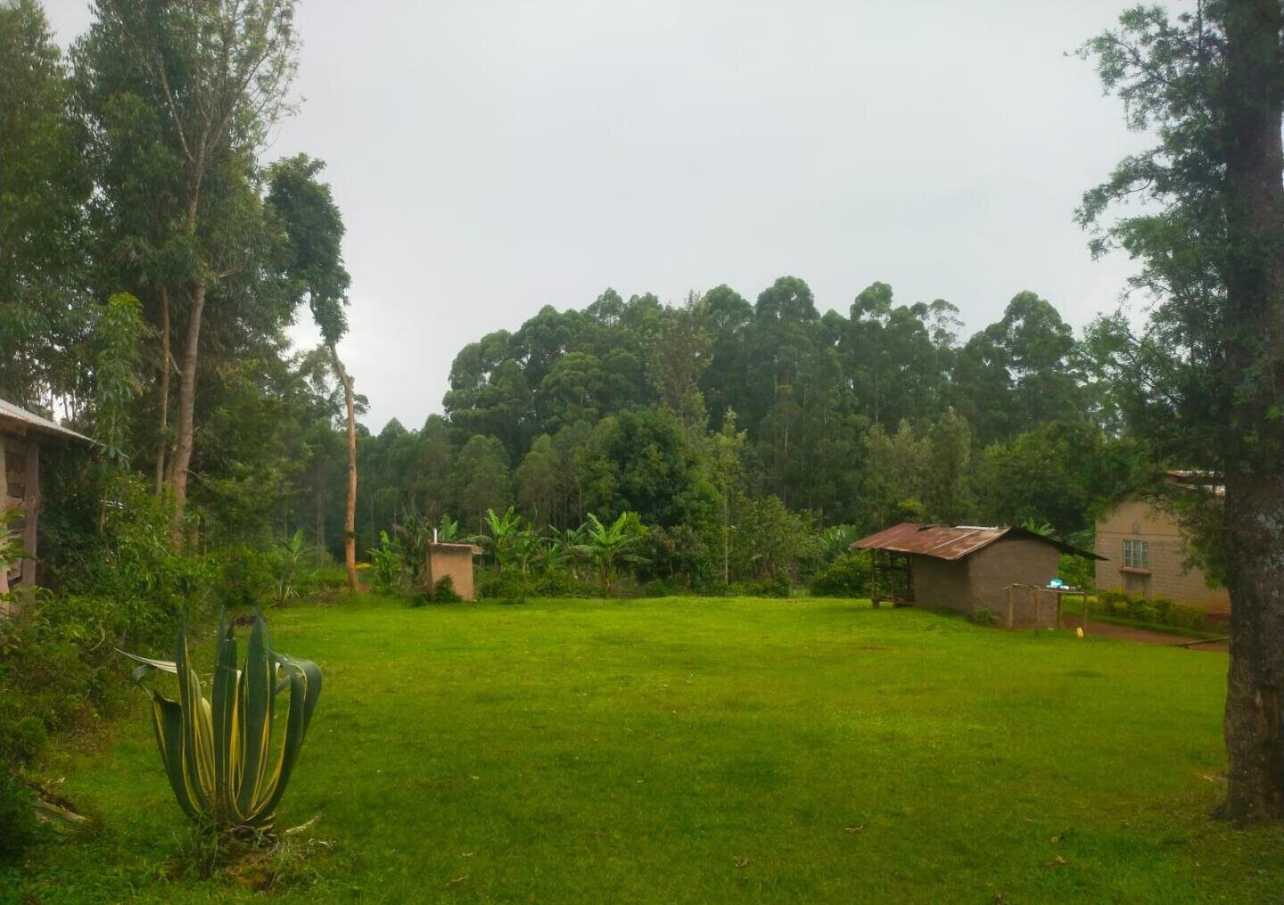 6-Acre Plot with Garden near Kitale Airport