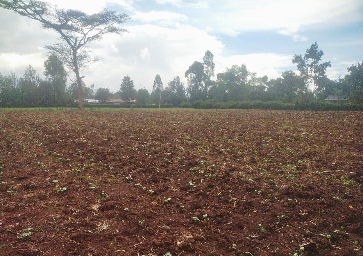 6-Acre Plot with Garden near Kitale Airport