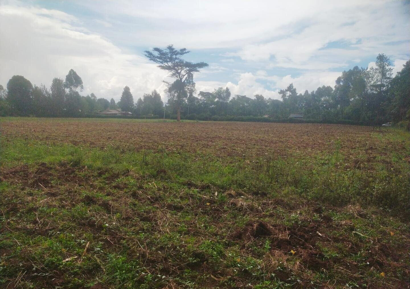 6-Acre Plot with Garden near Kitale Airport