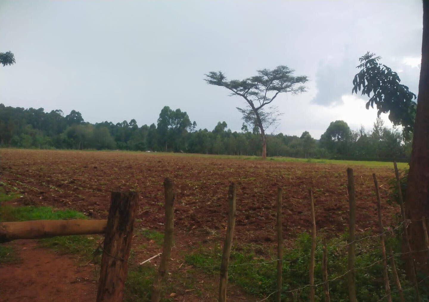 6-Acre Plot with Garden near Kitale Airport
