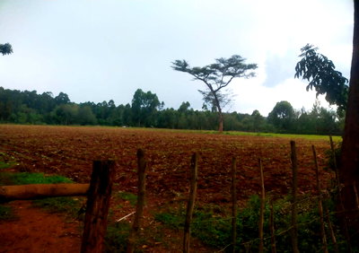 6-Acre Plot with Garden near Kitale Airport