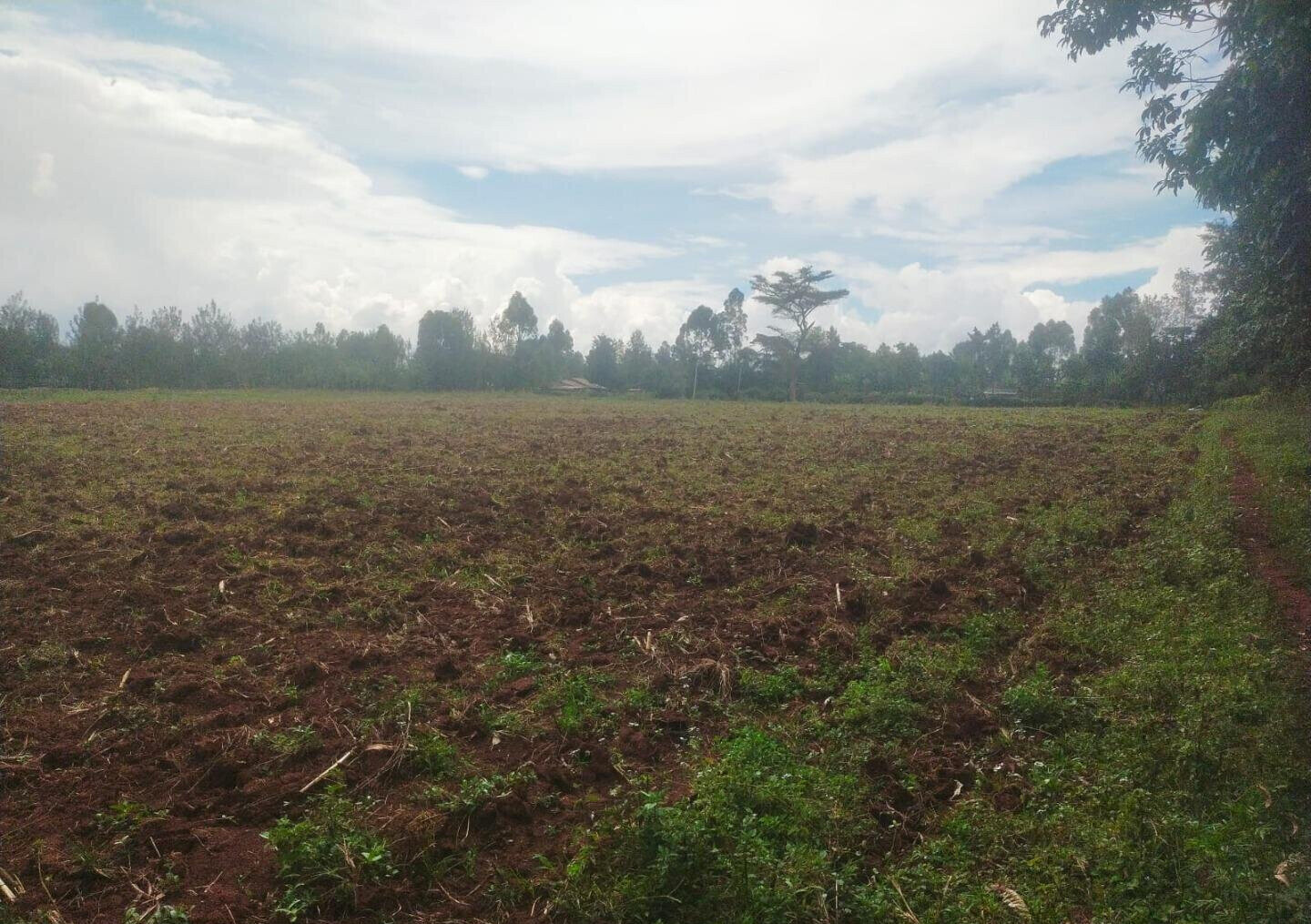 6-Acre Plot with Garden near Kitale Airport