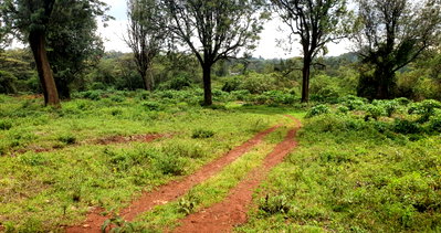 1.1-Acre Karen Gem at KSh 540M