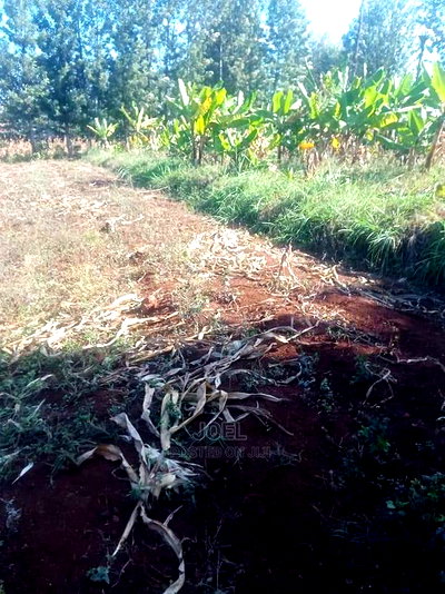 38 Acres Malindi Land - Image 2