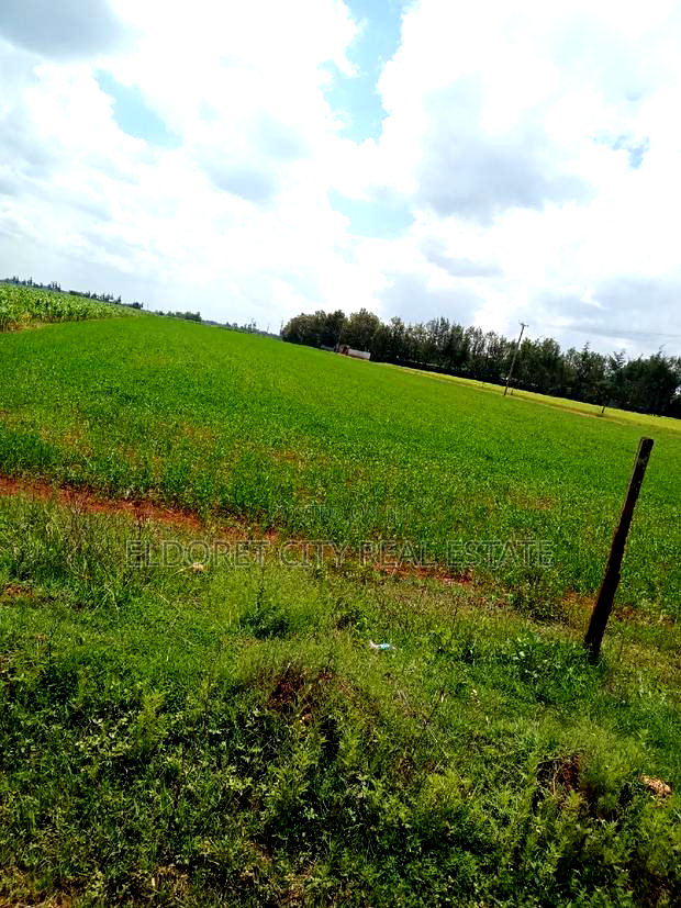 1/2 Acre Marura Less Than 500metres From Tarmac