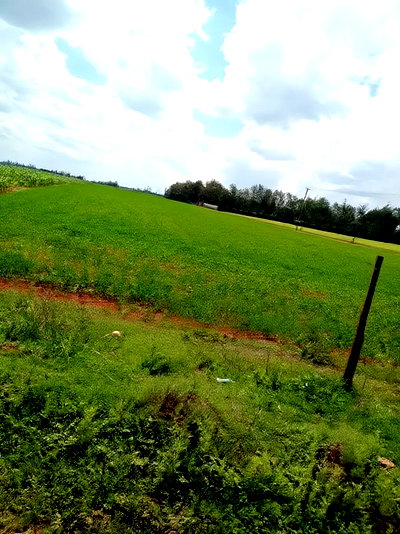 1/2 Acre Marura Less Than 500metres From Tarmac