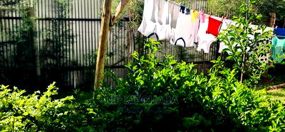 1bdrm Bungalow in Sogomo, Kuinet for Sale - Image 10