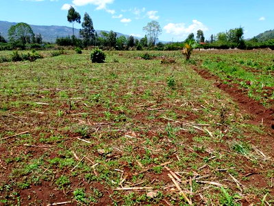 Prime Plots 70 Metres From the Tarmac at Subukia in Nakuru. - Image 1