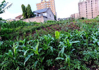KSh 14M Plot with Garden in Kasarani