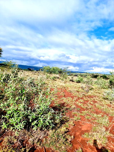 23 Acres Saikeri - Image 5