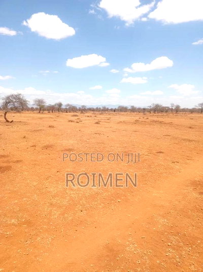 10 Acres 9km From the Tarmac - Image 4