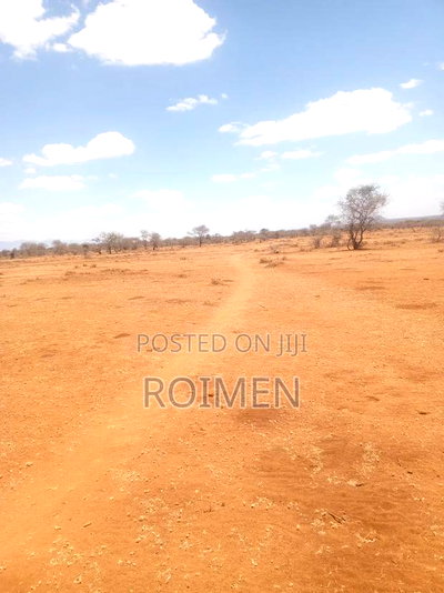 10 Acres 9km From the Tarmac - Image 2