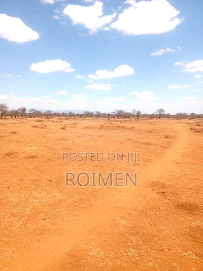 10 Acres 9km From the Tarmac - Image 5