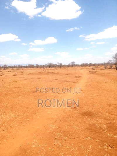 10 Acres 9km From the Tarmac - Image 7