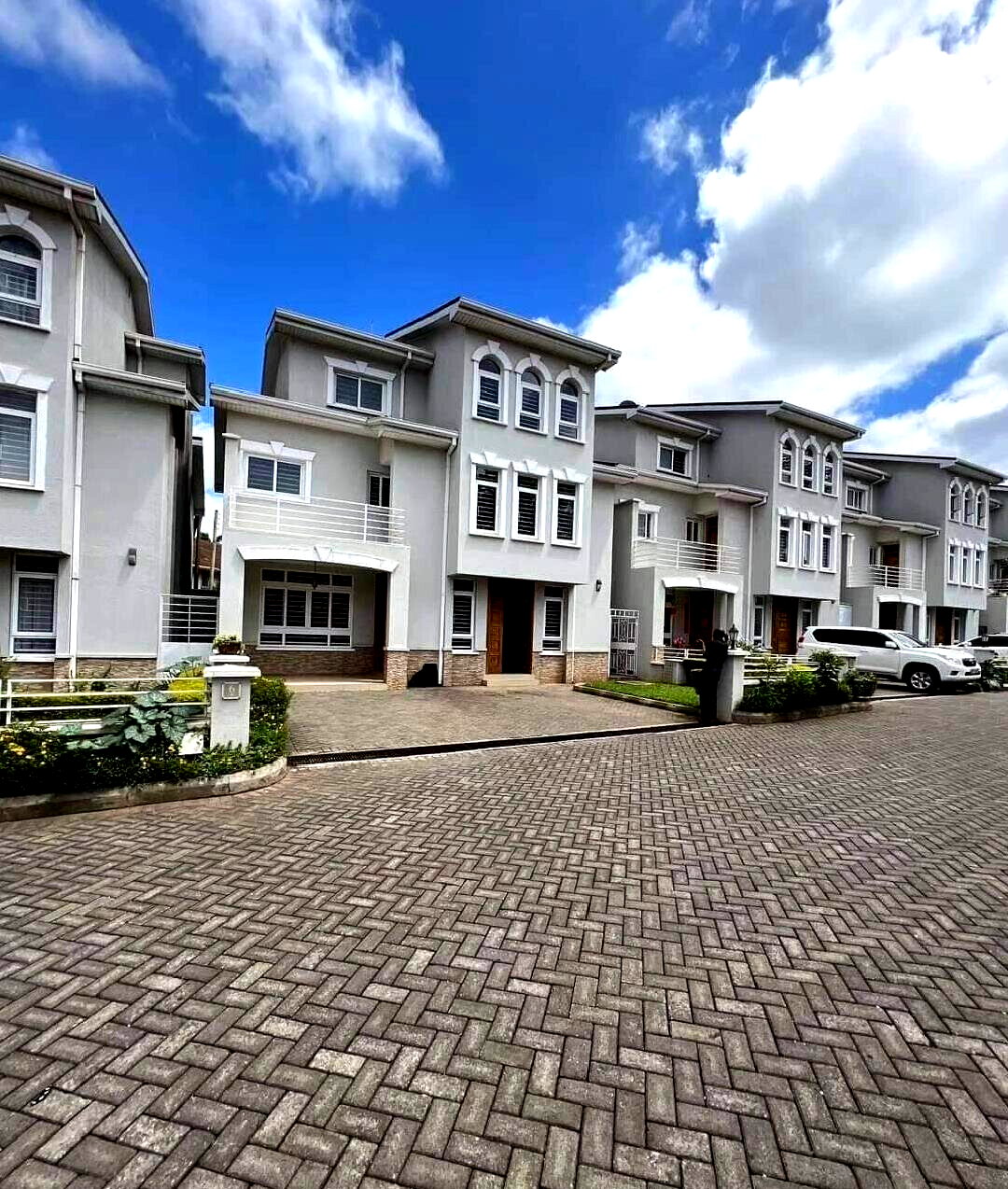 Corner Villa with Fireplace & DSQ - Lavington