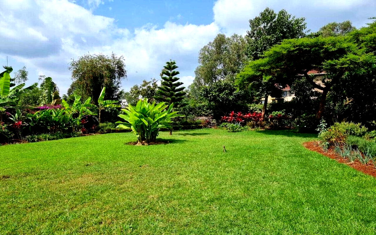 4BR All-Ensuite Townhouse on Half-Acre with Borehole - Runda Mumwe