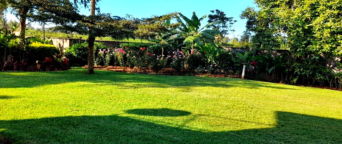 4BR All-Ensuite Townhouse on Half-Acre with Borehole - Runda Mumwe