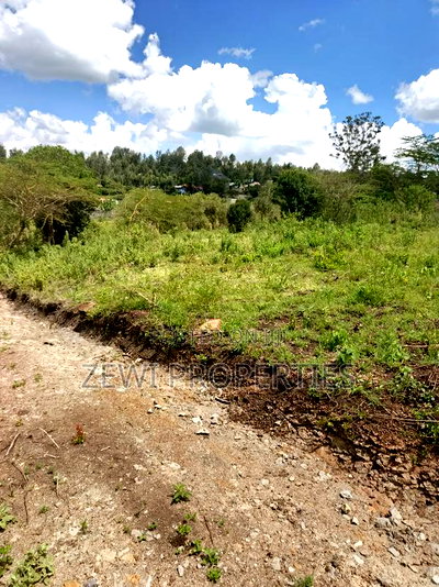 Quarter Acre Nalepo-Kiserian - Image 2