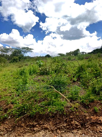 Quarter Acre Nalepo-Kiserian - Image 1