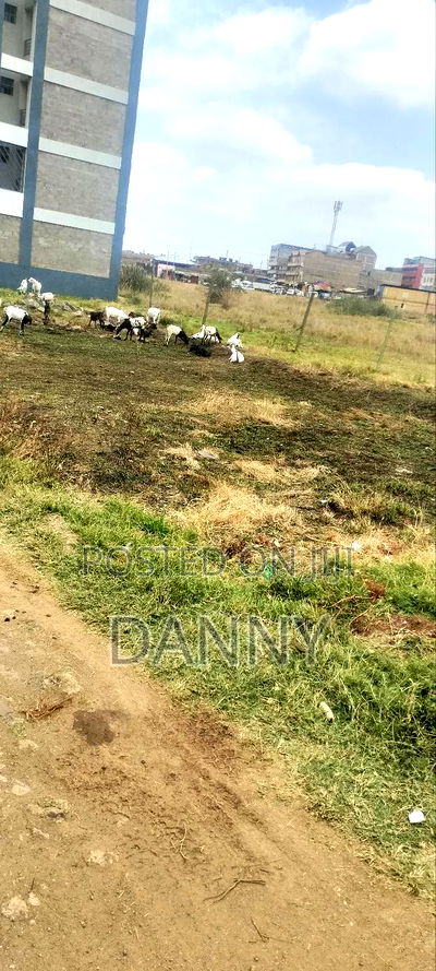 An 1/8 Commercial Plot Within Kimbo Juja Kiambu County - Image 3