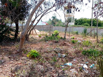 3/4 Acre Plot Near Simba Oryx - Diani | Kshs.10m Per 1/4 - Image 9