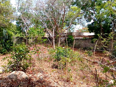3/4 Acre Plot Near Simba Oryx - Diani | Kshs.10m Per 1/4 - Image 2